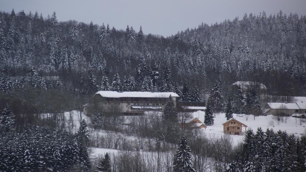 Hotel Le Grand Chalet Foncine-le-Haut Екстер'єр фото