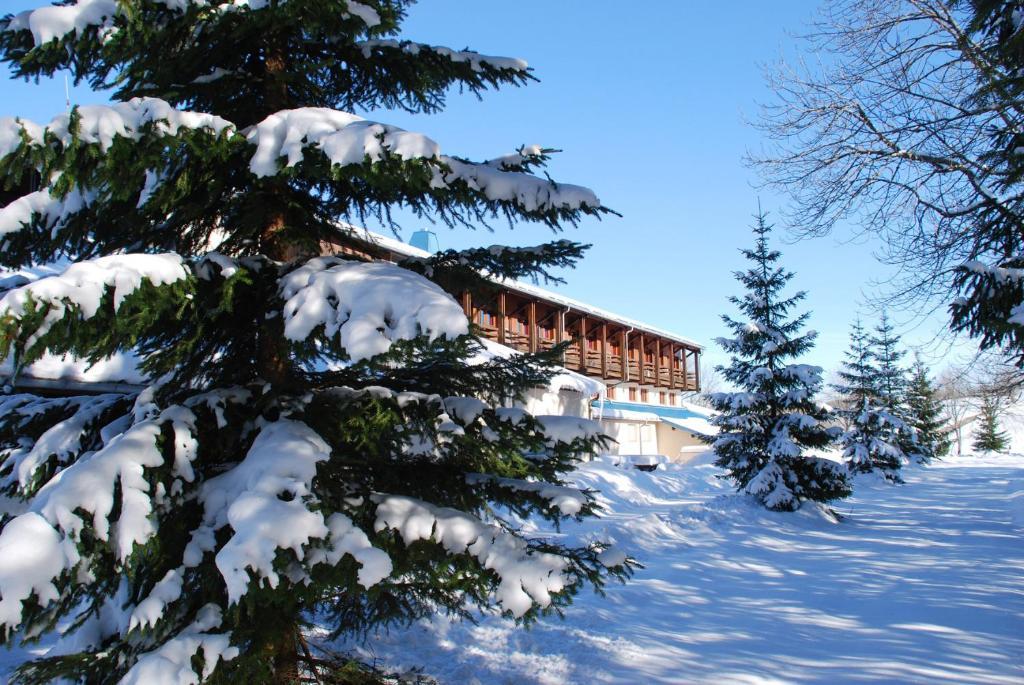 Hotel Le Grand Chalet Foncine-le-Haut Екстер'єр фото